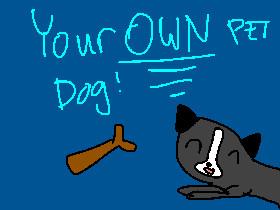 Your Pet Dog!