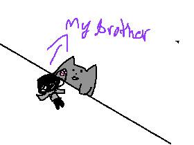 bongo cat on meh bro&gt;:)
