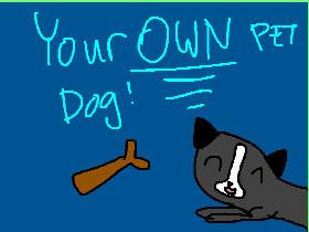 Your Pet Dog! 1