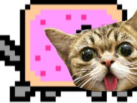 THE IDENTITY OF NYAN CAT!!!