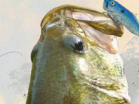 largemouth bass fishing🎣 1