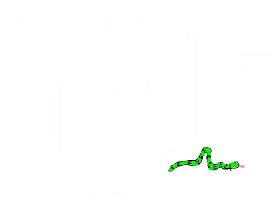 Snake draw