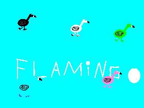very fast Flamingo’s :D