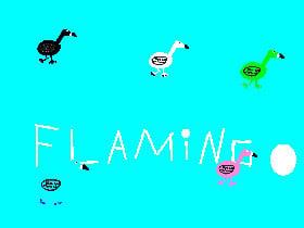 very fast Flamingo’s :D