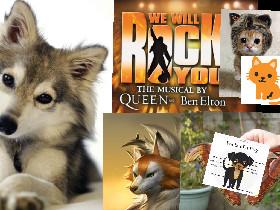 dogs and cats will rock you 1 1 1