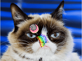 Nyan cat spinner .io