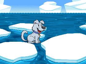 Penguin World 1