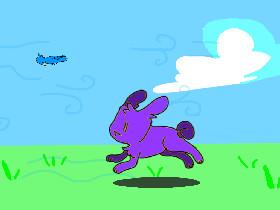 Bunny Run+Animation