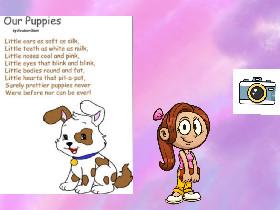 puppy poem