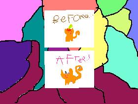 before...after...!