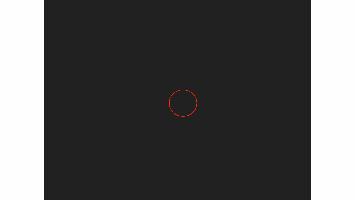 circle fly
