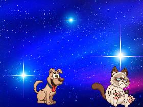 Grumpy cat vs. dog