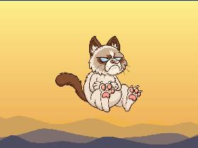 TALK TO GRUMPY CAT