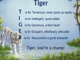 My tiger poem