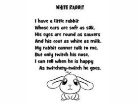 My bunny poem