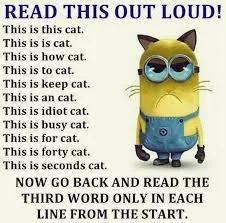 REALLY FUNNY PLEASE LIKE