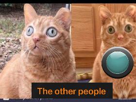 Funny?