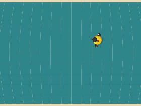Bird Mayhem 1