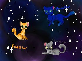 WARRIOR cat speed draw 1