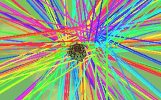 Turtle Trails 1