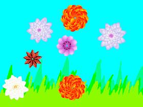 cool spin art (flowers)