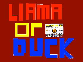 Llama or Duck?  1