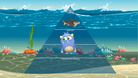 Ocean Ecological Pyramid