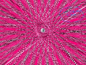oh wow2! 1