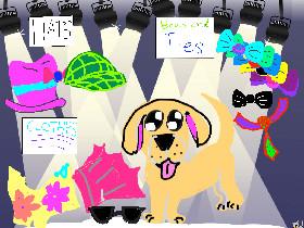 Drees up the Puppy!!!🤩🤩🤩👗👒🕶🐶🐶🐶