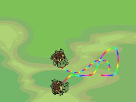 Turtle Trails 1