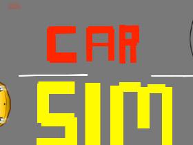 Car Sim 2