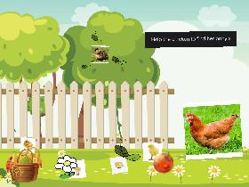 mummy chicken