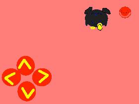 POOG ARCADE