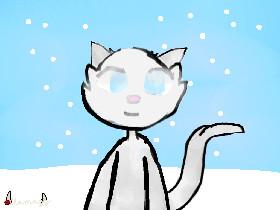 Kat Contest