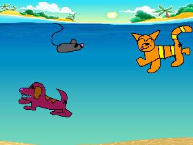 help the cat!