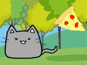 pizza cat!