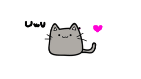 kitten 🐱