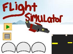 Flight Simulator