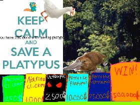 save them animls