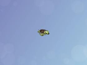 Save the turtles