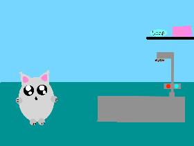 Give Your Cat a Bath! 1