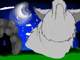 how to draw a wolf 🐺