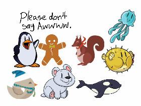please don’t say Awwww