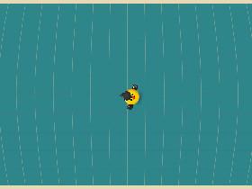 Bird Mayhem chaos edition