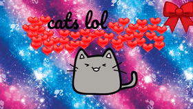 kittys with love😂👑