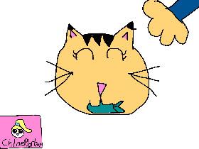 Cat Animation