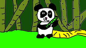 Panda&#039;s world