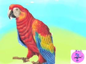 My Talking Parrot -copy ❤️