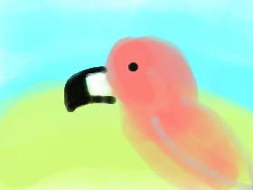 My Talking Parrot 1