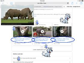 Last White Rhino Dies!!!!!